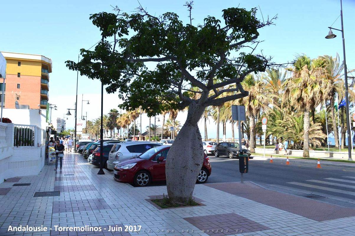 705- Torremolinos .JPG